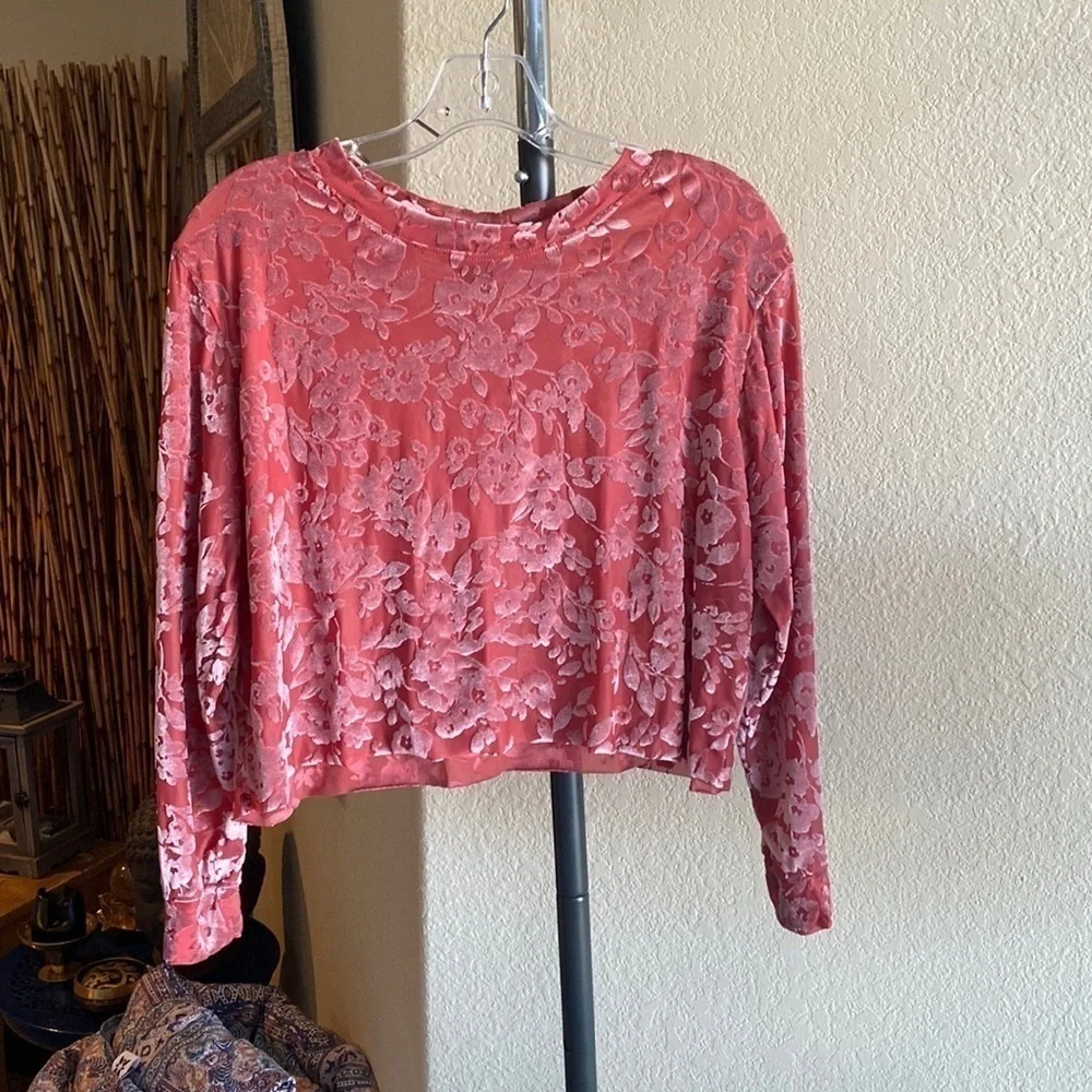 Agnes and Dora/ Blush Velvet Floral Sheer Crop Top - Picture 2 of 5